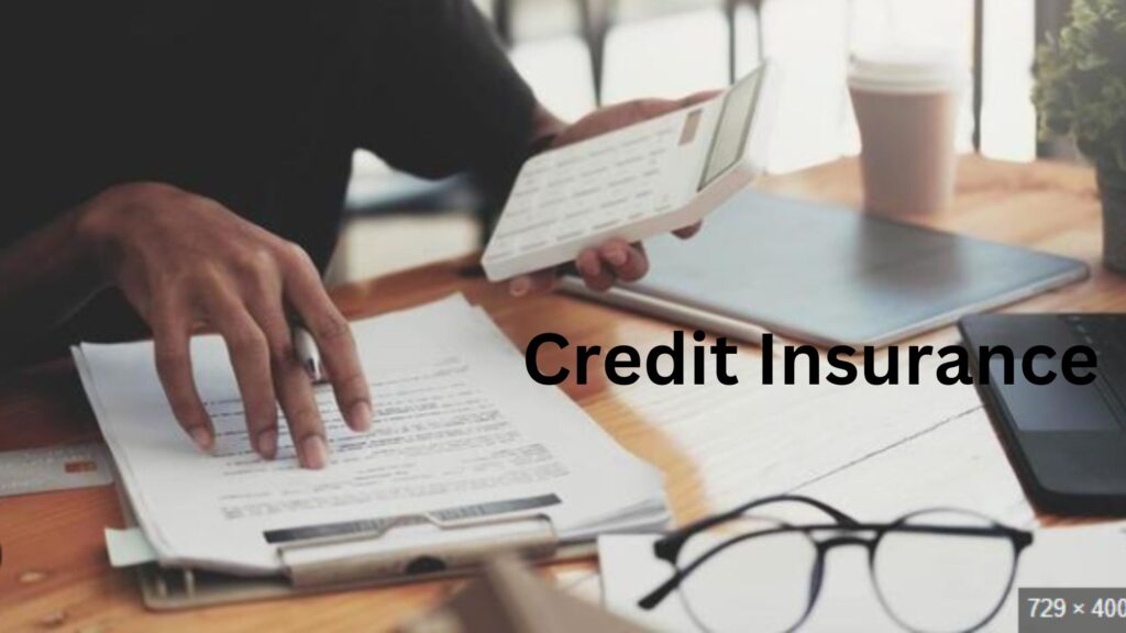 Credit Insurance